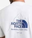 Camiseta Biner Graphic 4 Tee The North Face Masculina - Foto 5