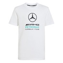 Camiseta adidas Mercedes - AMG Petronas Formula 1 Team DNA Unissex - Foto 1