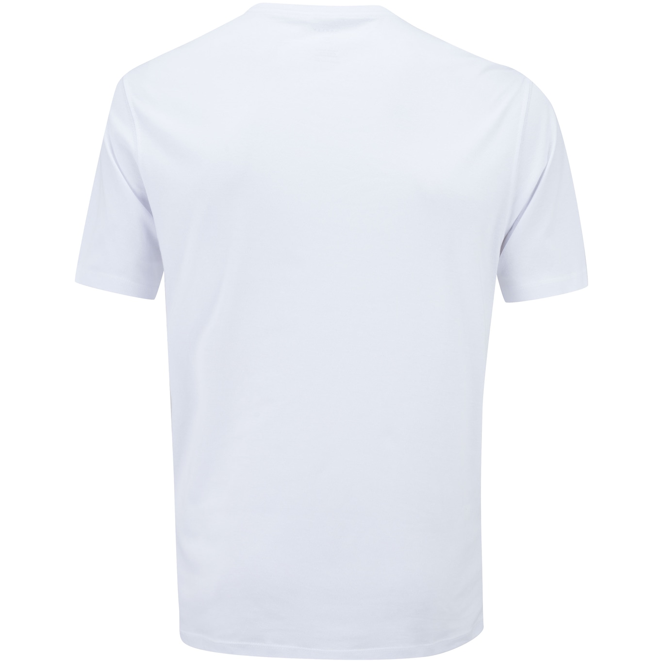 Camiseta Oakley Classic Skull Masculina - Branco