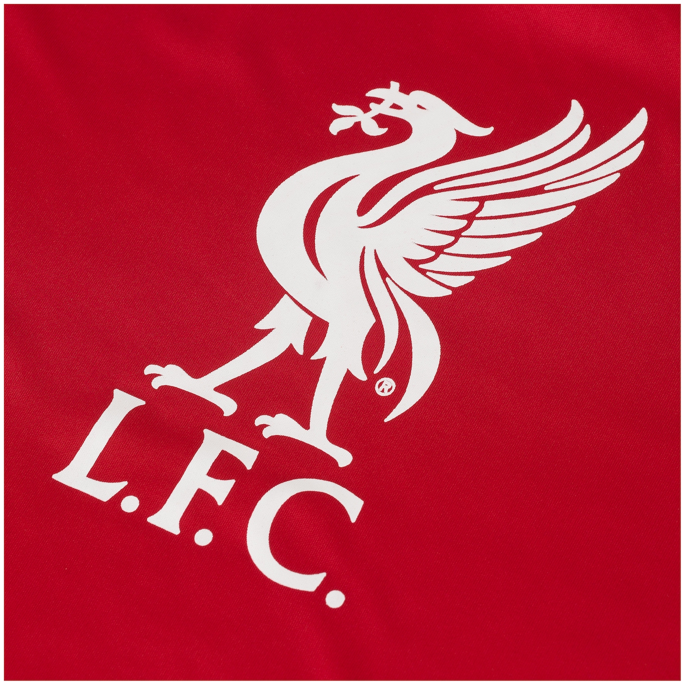 Camiseta Liverpool Bird - Infantil - Foto 5