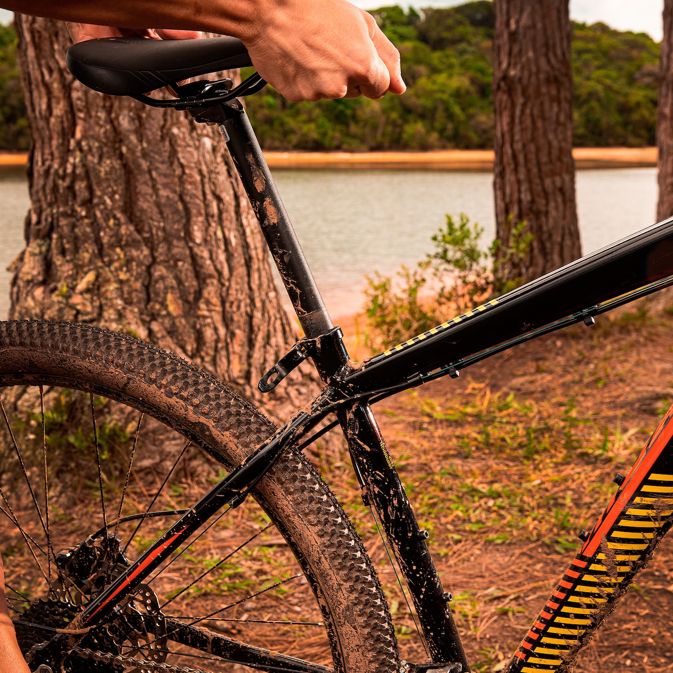 Mountain Bike Caloi Moab Flex - Aro 29 - Freio a Disco Hidráulico - Câmbio  Microshift em Promoção