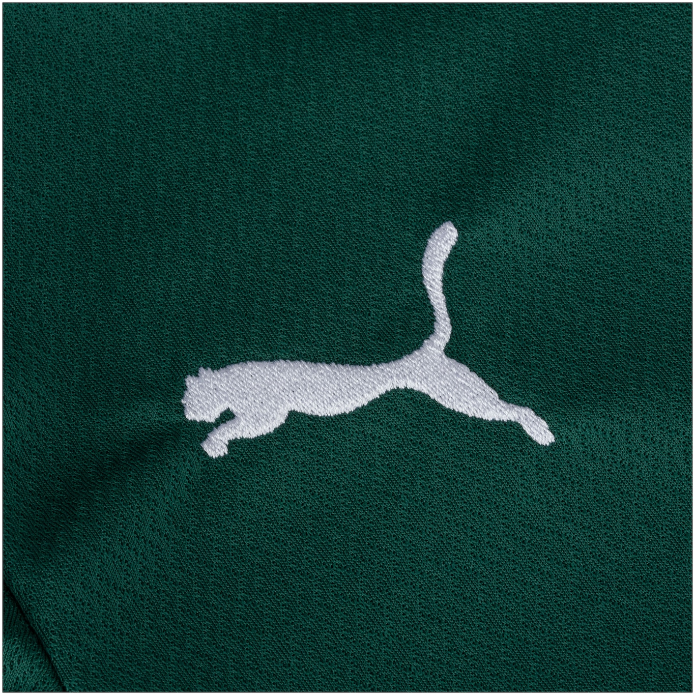 Camisa do Palmeiras I 22 Puma Jersey - Júnior - Foto 6