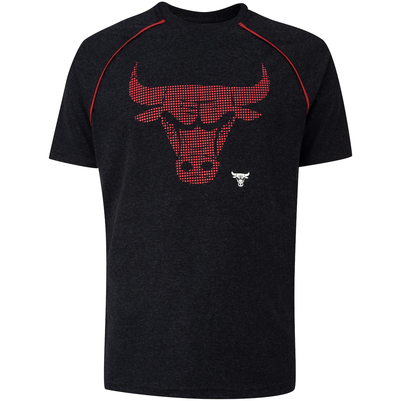 Camiseta Chicago Bulls NBA