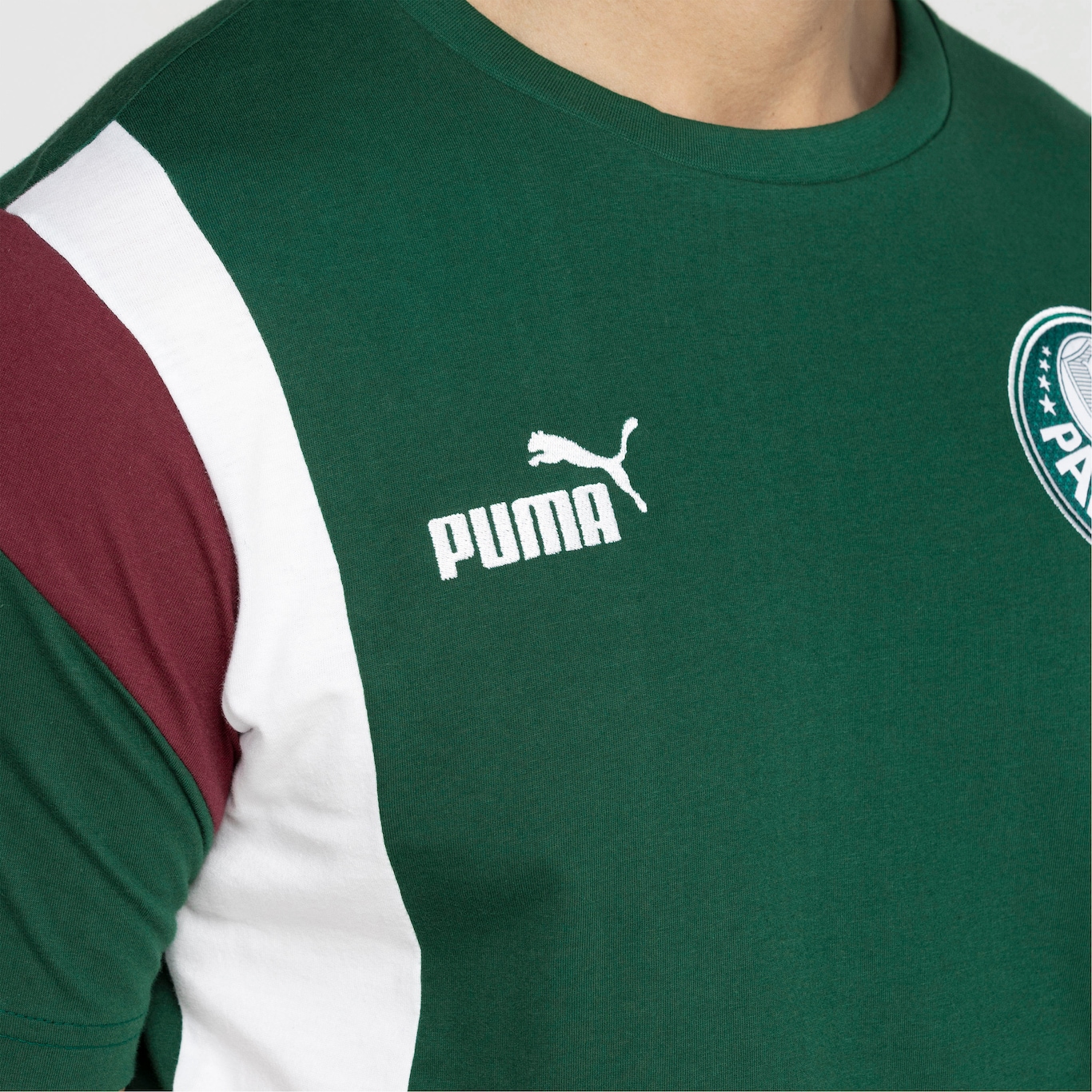 Camiseta do Palmeiras 23 Puma Masculina - Foto 6