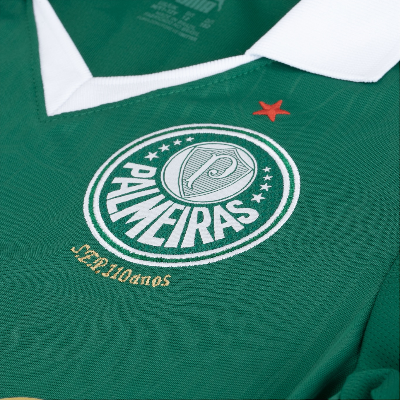 Camisa do Palmeiras I 24 Puma Masculina Torcedor - Foto 4