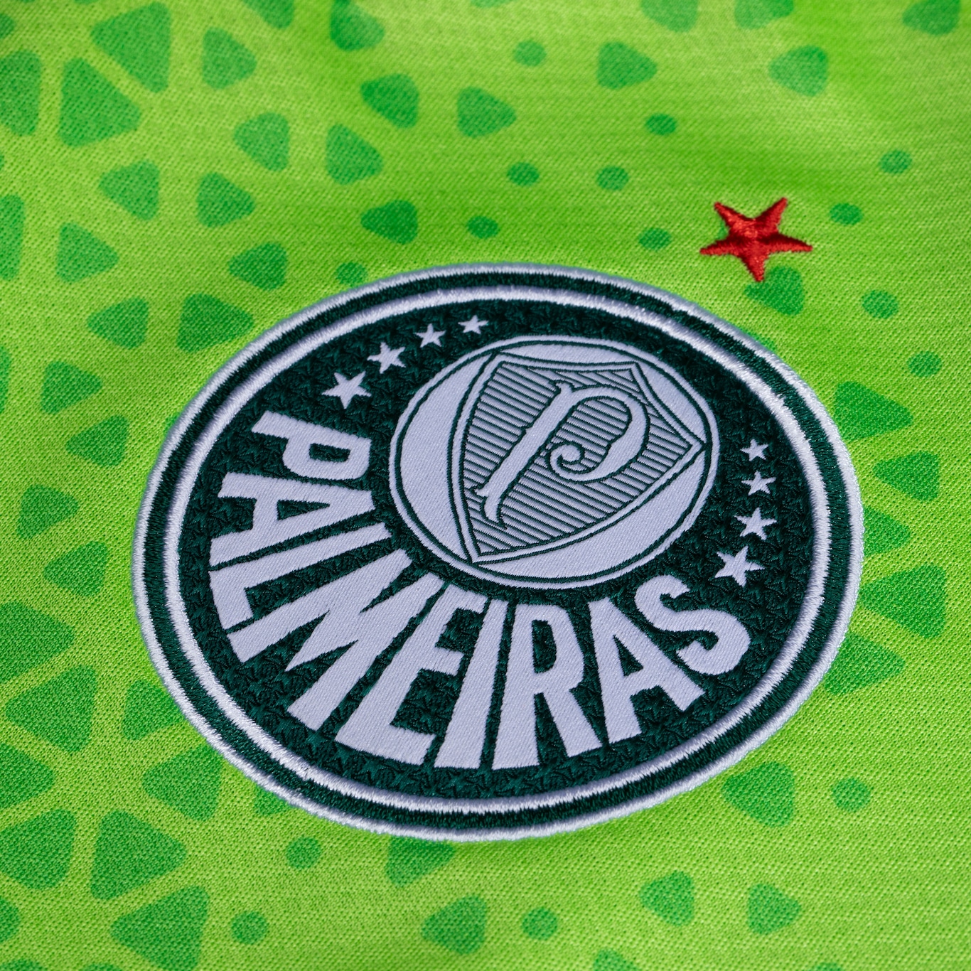 Camisa de Treino do Palmeiras 24 Puma Juvenil - Foto 4