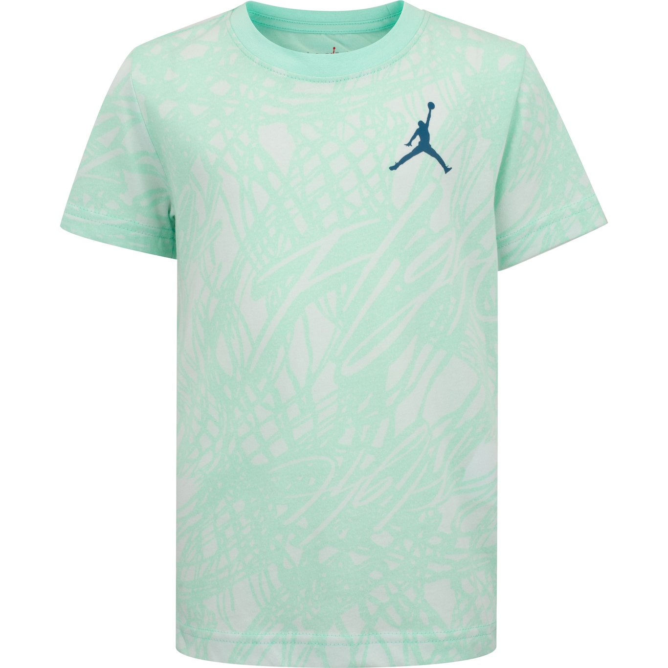 Camiseta Jordan Nike Juvenil Net Flight - Foto 1