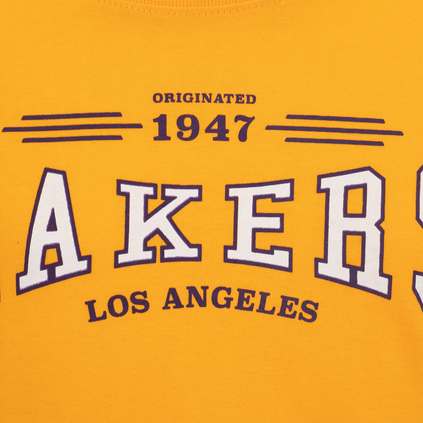 Camiseta do Los Angeles Lakers Infantil NBA Manga Longa Placement N0325 - Foto 3