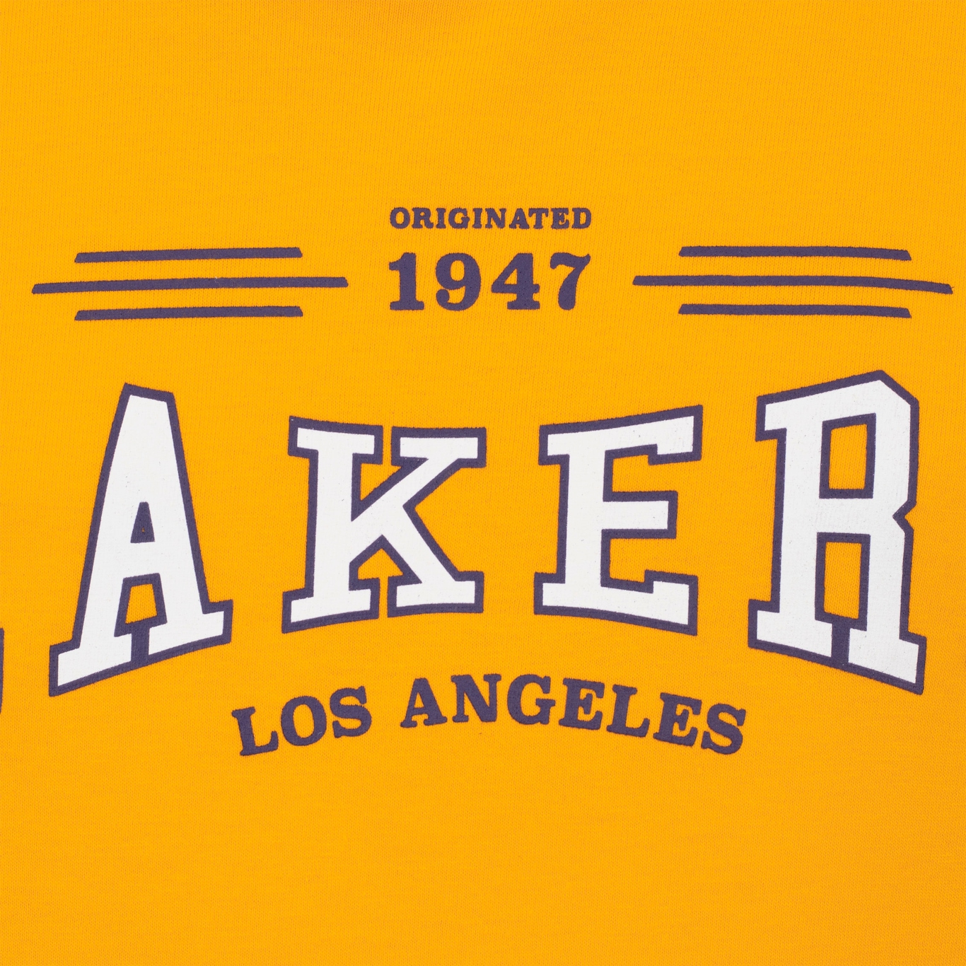 Camiseta do Los Angeles Lakers NBA Juvenil Placement N0328 - Foto 3