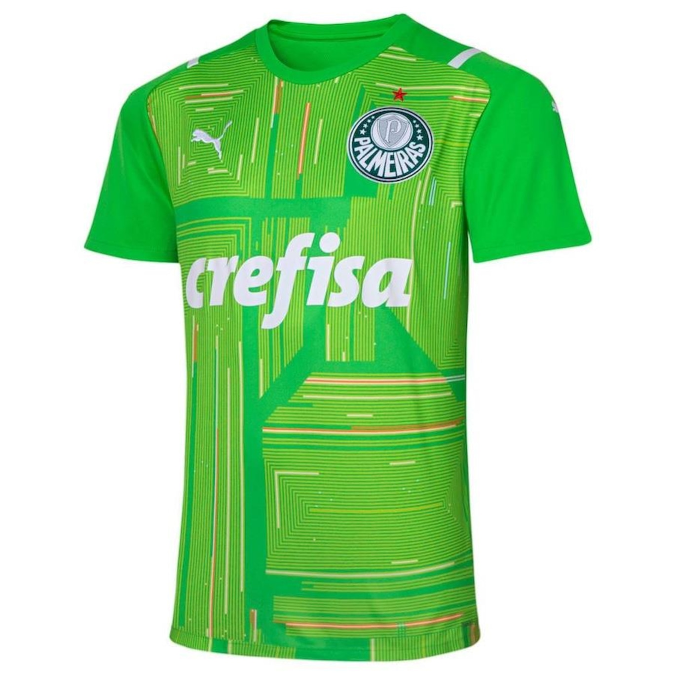 Palmeiras cheap puma goleiro