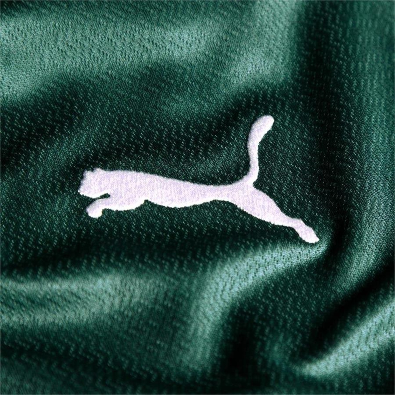 Camisa Puma Palmeiras I 2022 - Masculina - Foto 4