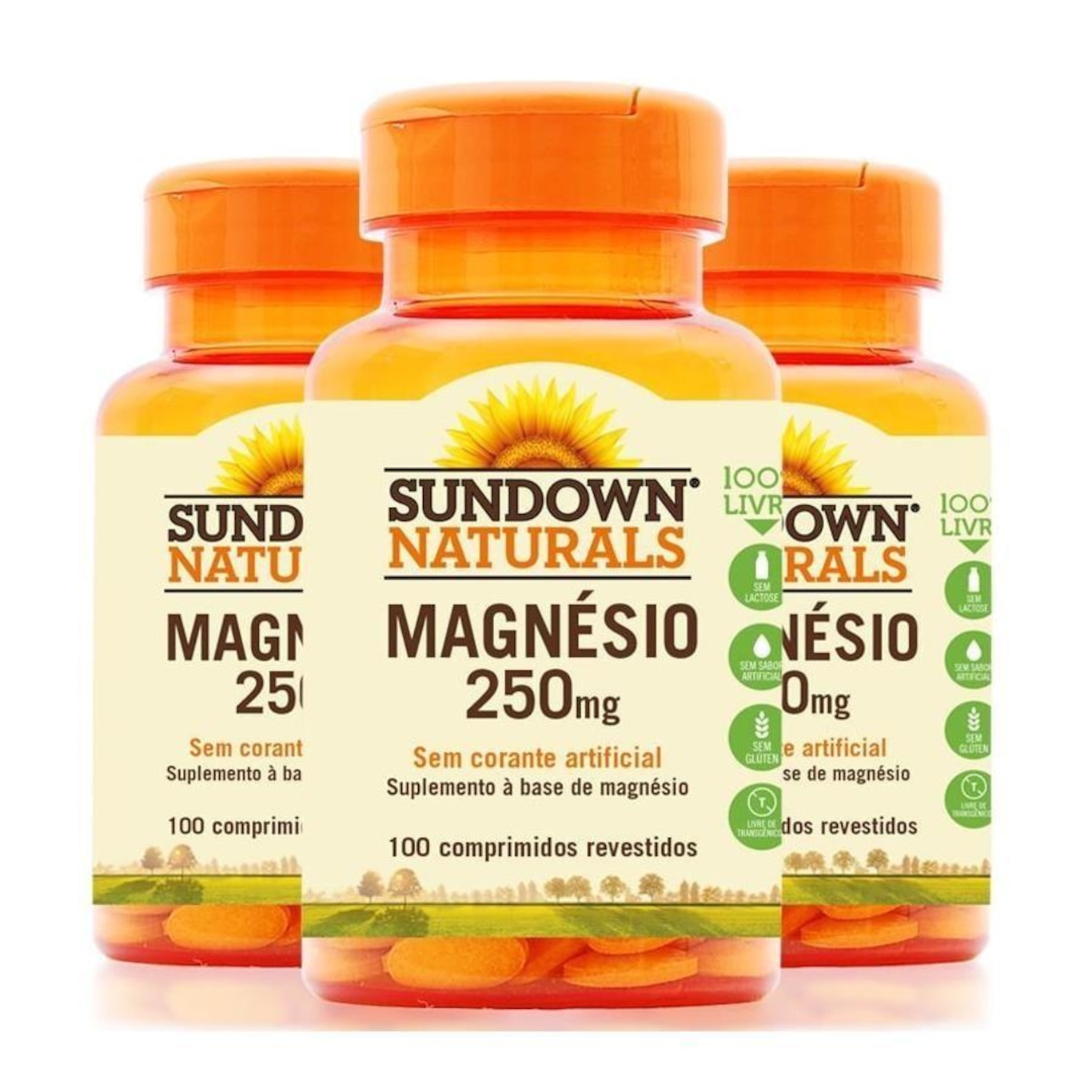 Kit Magnésio 250mg Sundown - 100 Cápsulas - 3 Unidades | Centauro