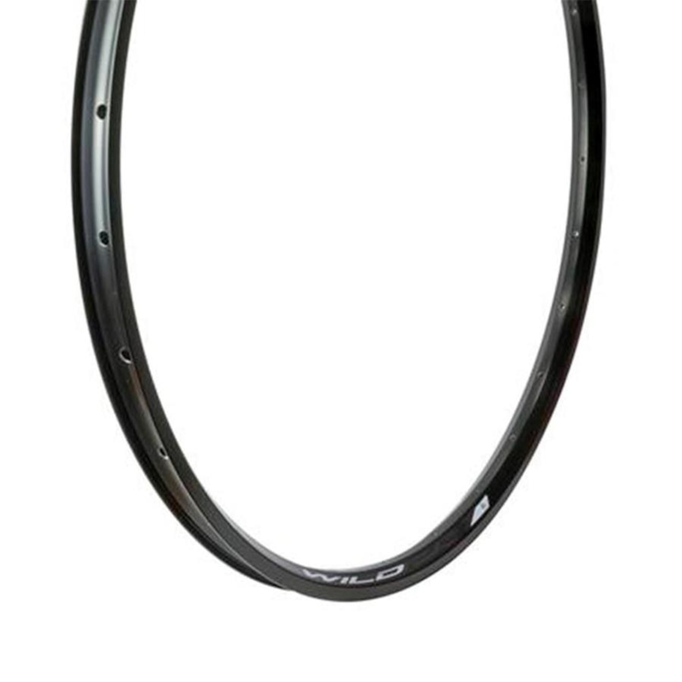 Aro Absolute Wild TL Disc 29x28F - Foto 2