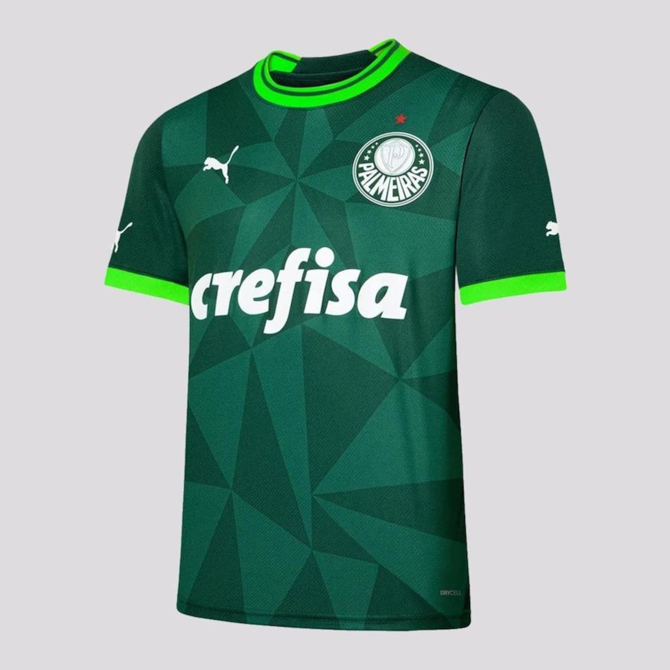 Camisa do Palmeiras I 2023 Puma - Masculina - Foto 1