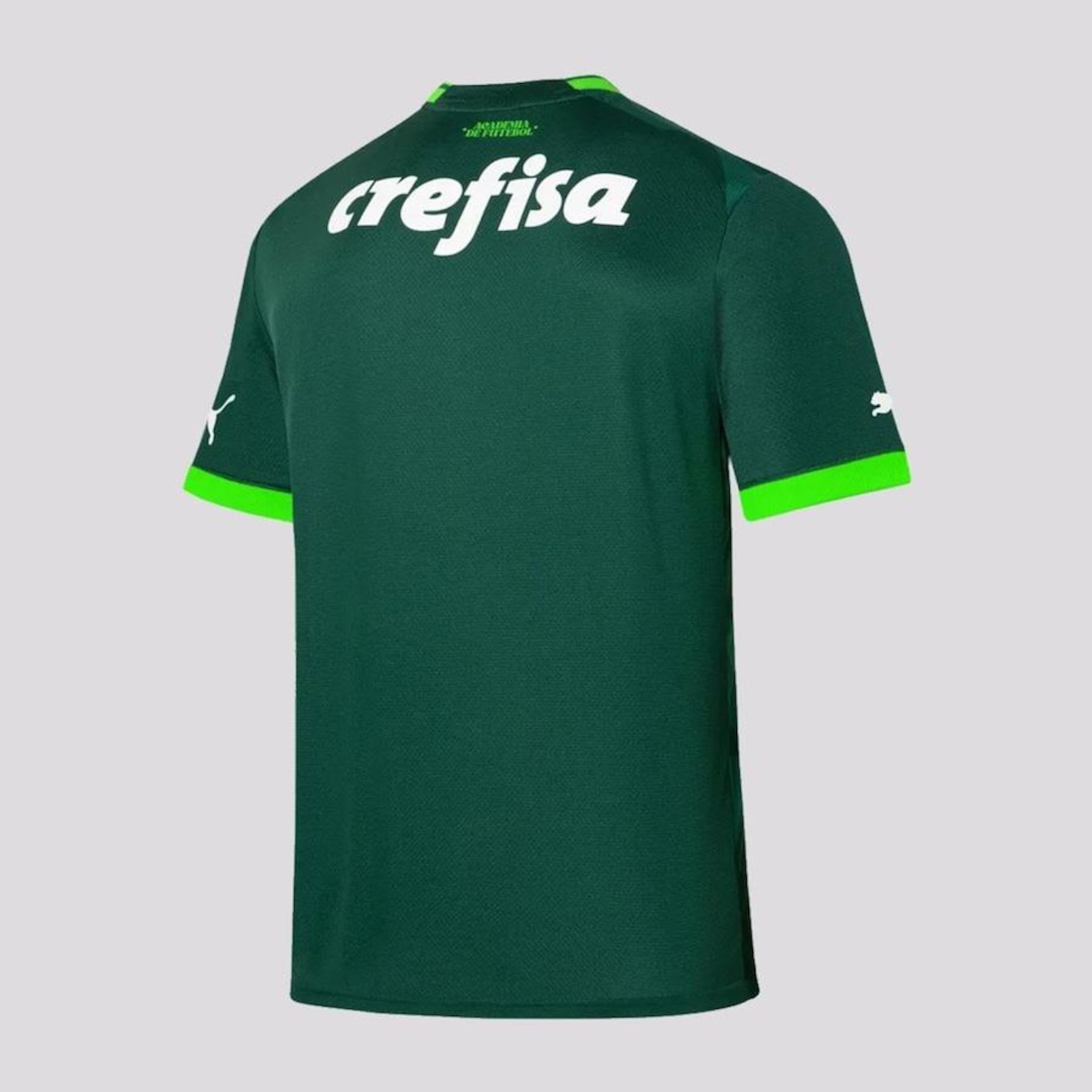 Camisa do Palmeiras I 2023 Puma - Masculina - Foto 2