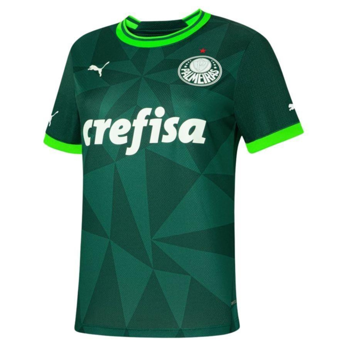 Camisa do Palmeiras 2023 Torcedor Home Puma - Feminina - Foto 1