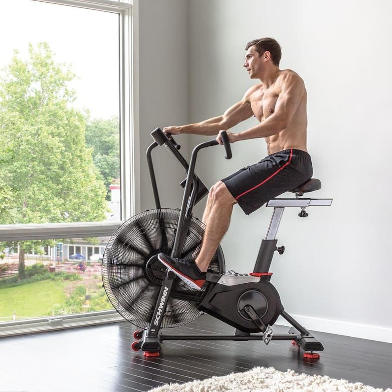 Air bike Schwinn AD8 Pro AirDyne Profissional Painel LCD Completo - Foto 4