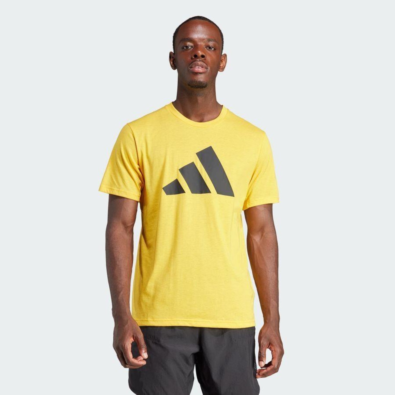 Camiseta adidas hot sale masculina basica