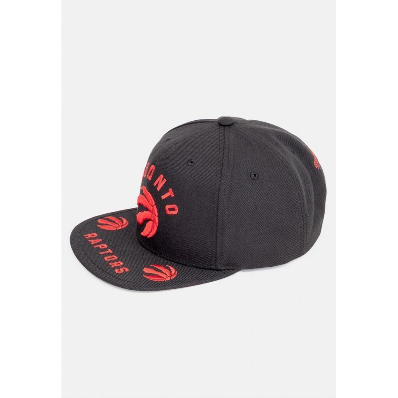 Nike cheap raptors hat