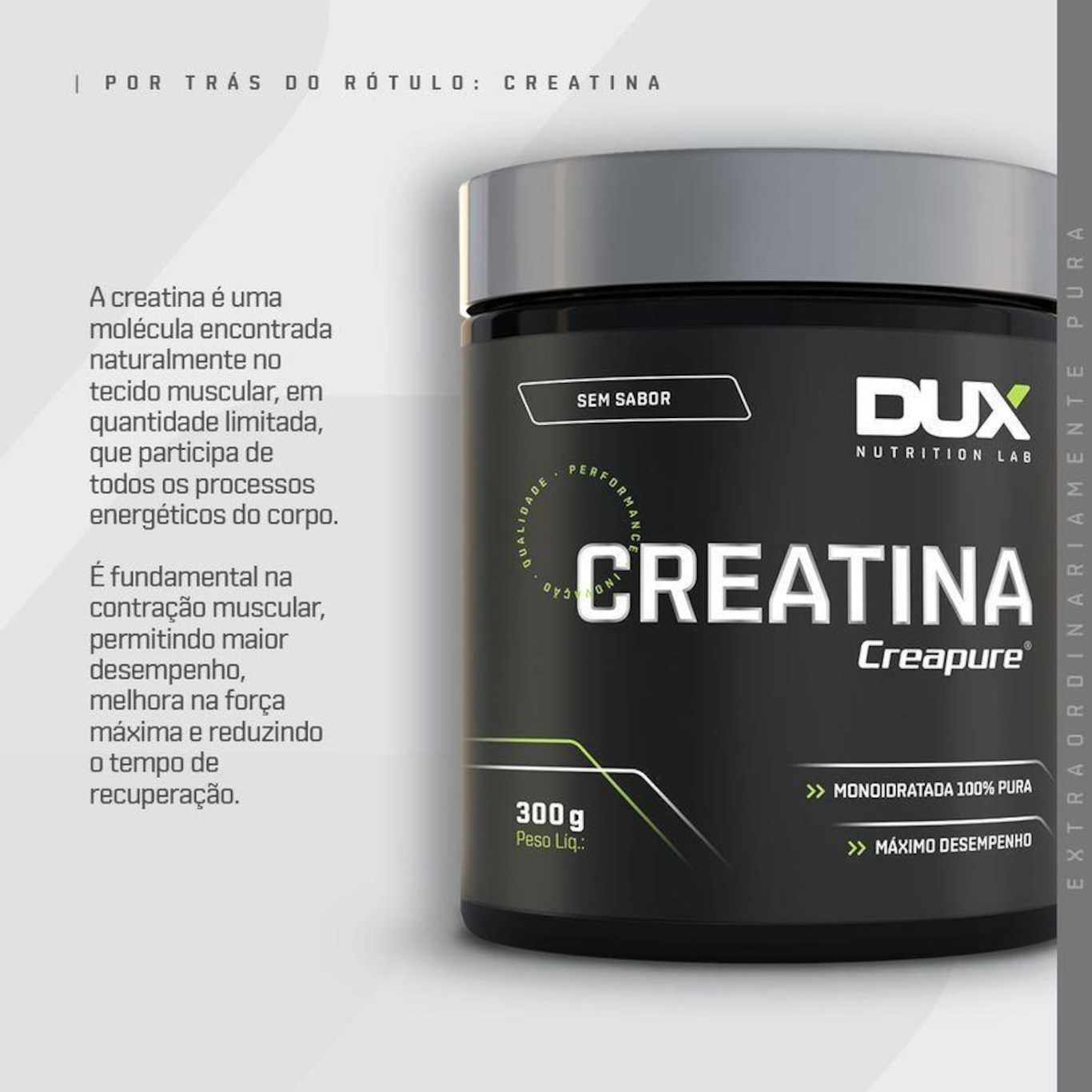 Creatina 100% Creapure 100G - Dux Nutrition - Foto 4