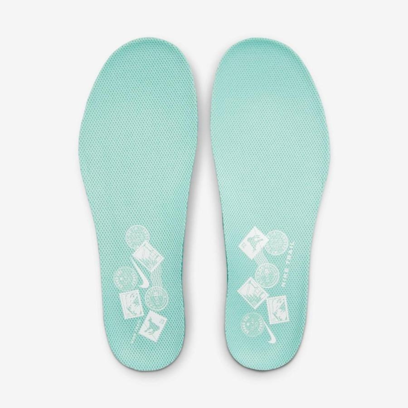 Nike store pegasus insoles