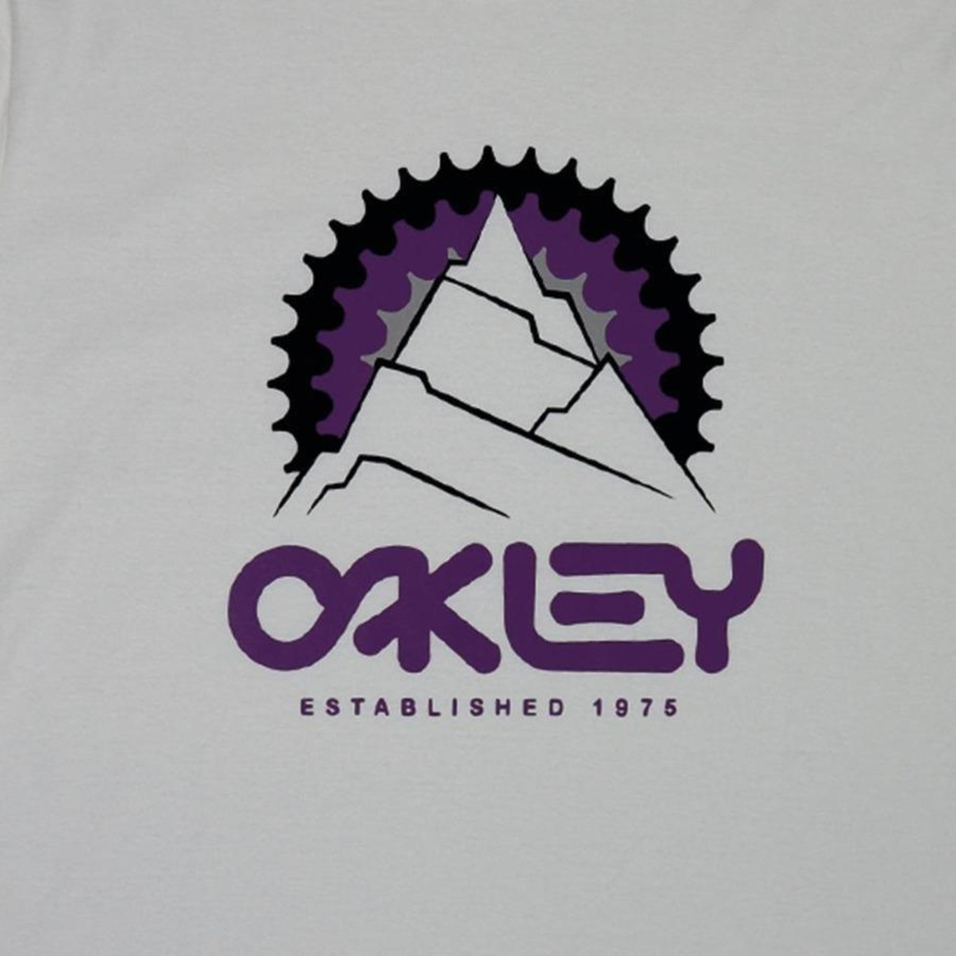 Camiseta Oakley Established Tee