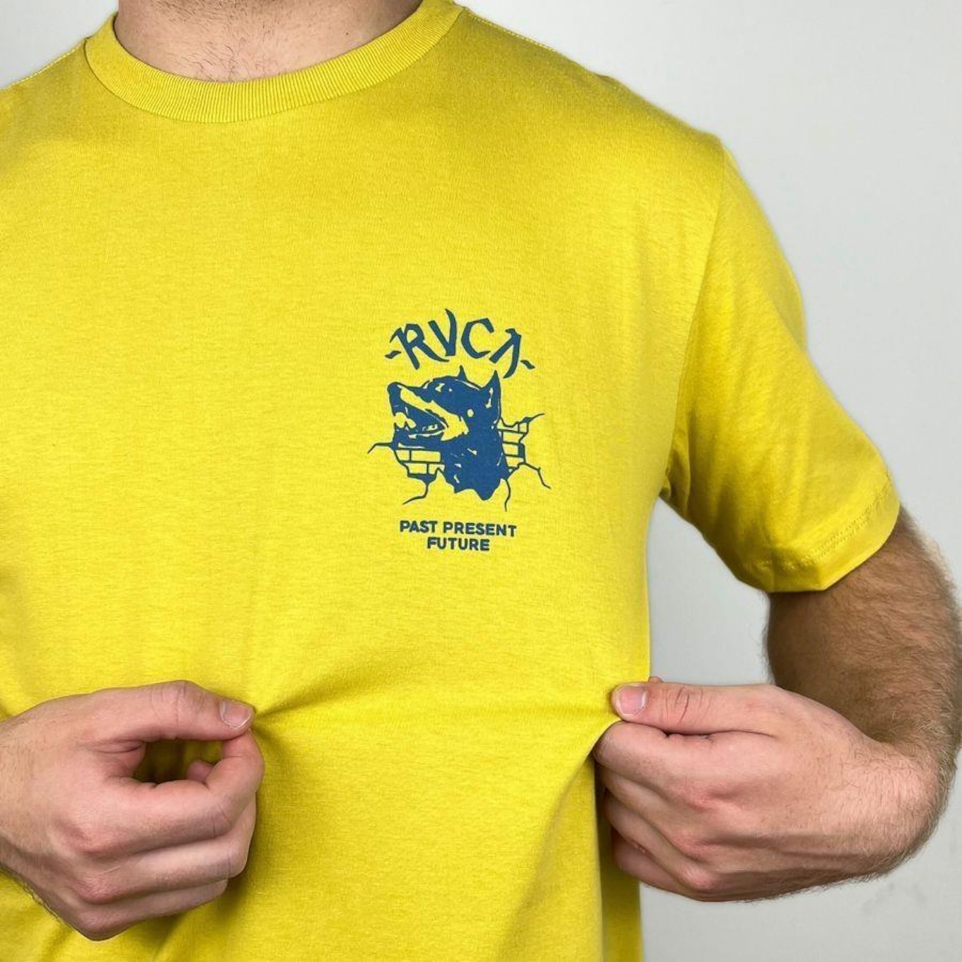 Camiseta RVCA Guard Dog - Masculina - Foto 2