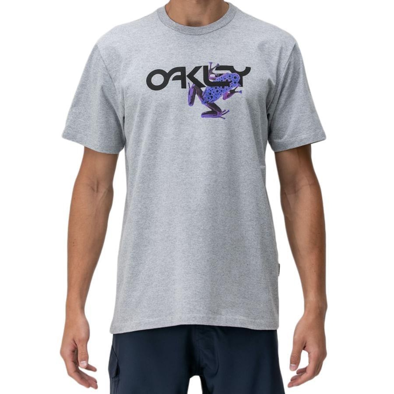 Camiseta Oakley Frog Big Graphic Grey os melhores preços