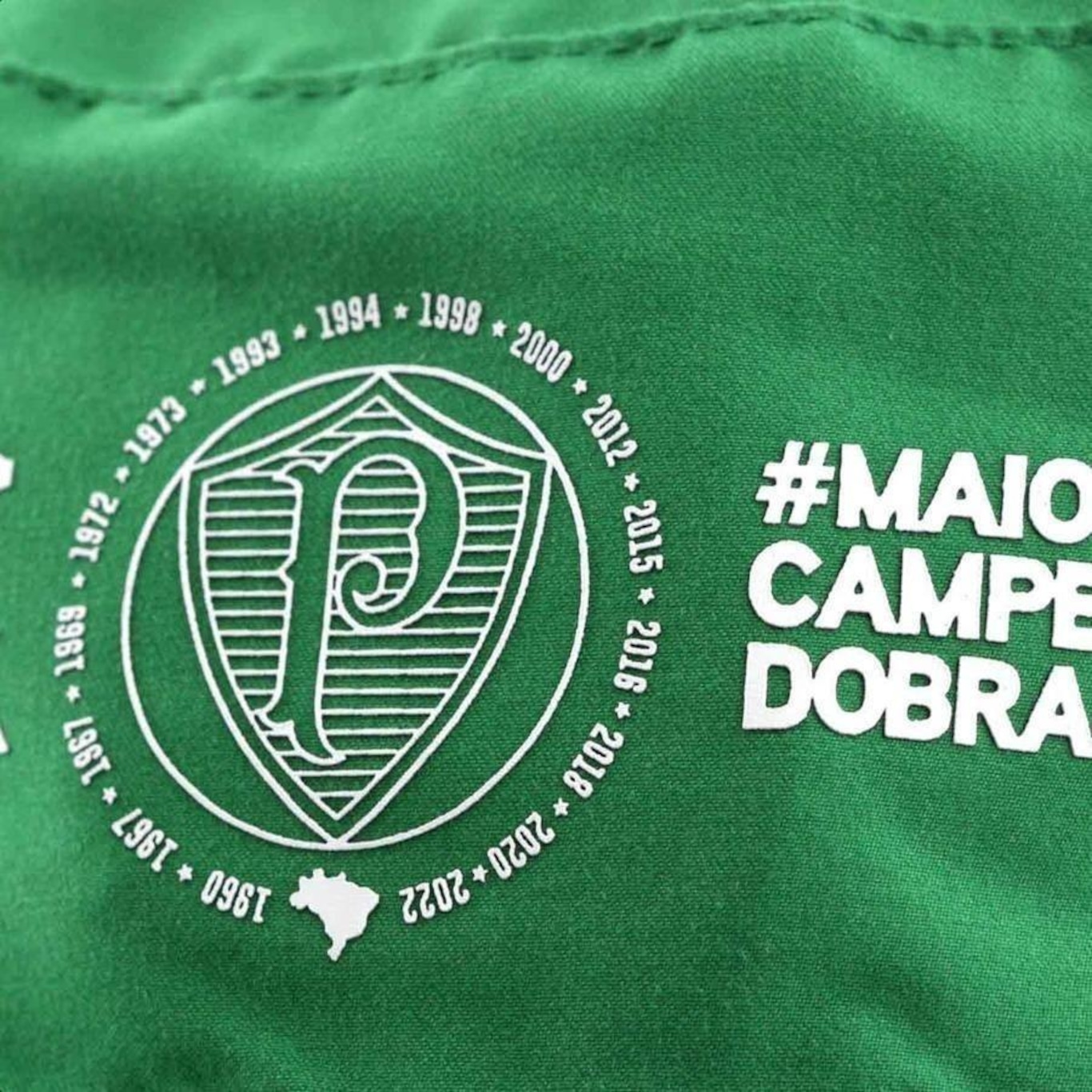 Bucket Palmeiras Chapéu Logo Bordado Coquinho Torcida