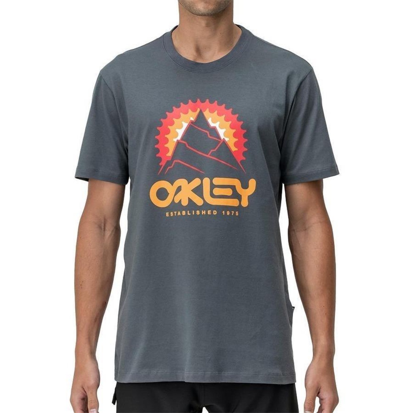 Camiseta Oakley Frog Graphic SM24 Masculina Blackout - Radical