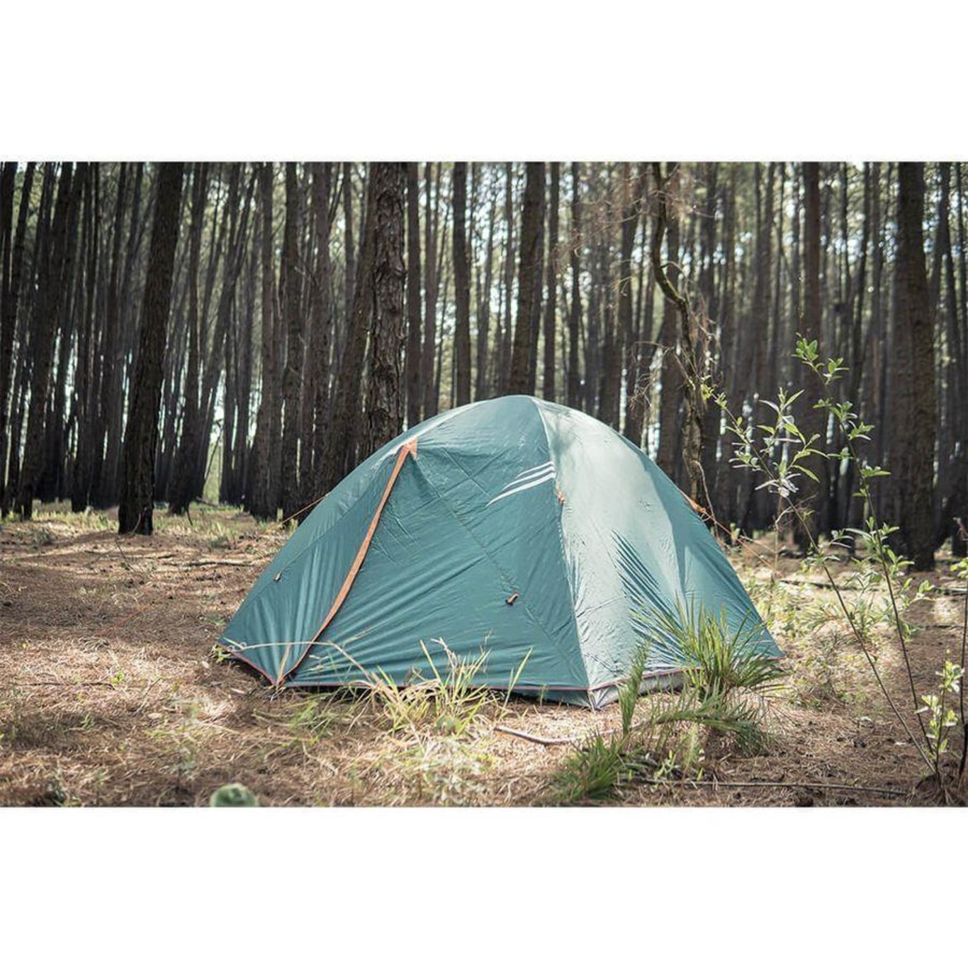 Barraca de Camping Colorado Ntk 3/4 Pessoas e Coluna D''''''''''''''''Água de 2500Mm - Foto 3