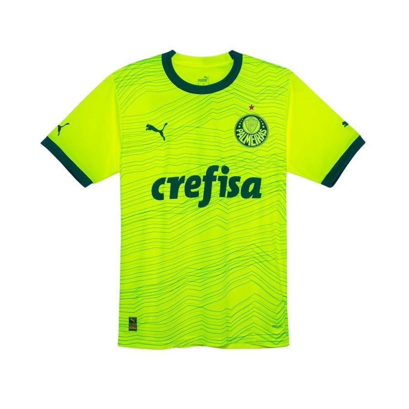 Camisa Palmeiras Iii 23/24 Puma Jogador - Masculina - Foto 1