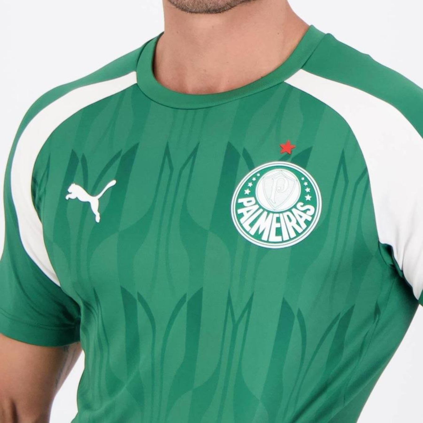 Camisa do Palmeiras Pré Jogo 2024 Puma - Masculina - Foto 2