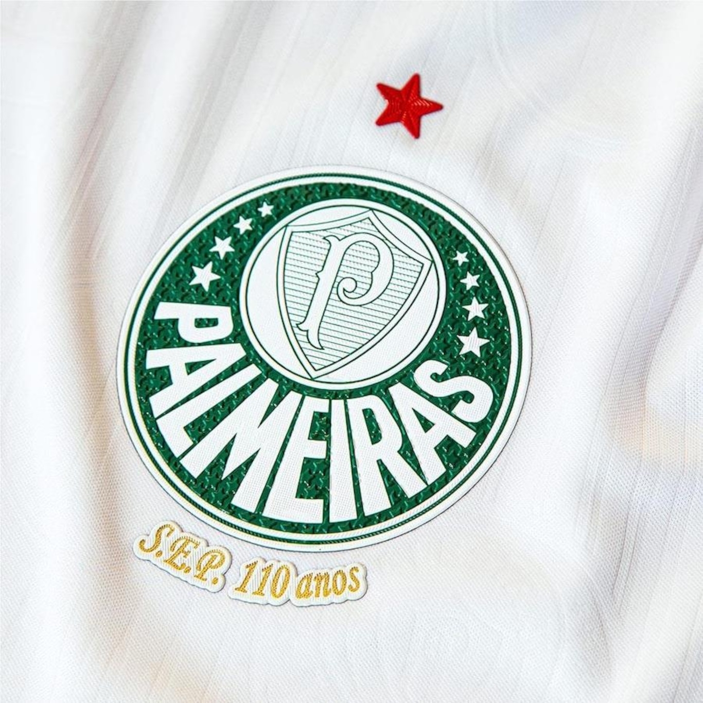 Camisa do Palmeiras II 24/25 Jogador Puma - Masculina - Foto 3