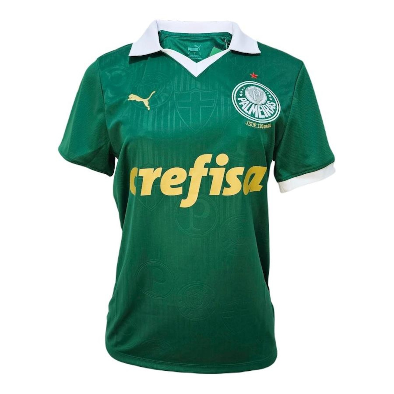 Camisa do Palmeiras 2024/2025 Uniforme 1 Versão Torcedora Puma