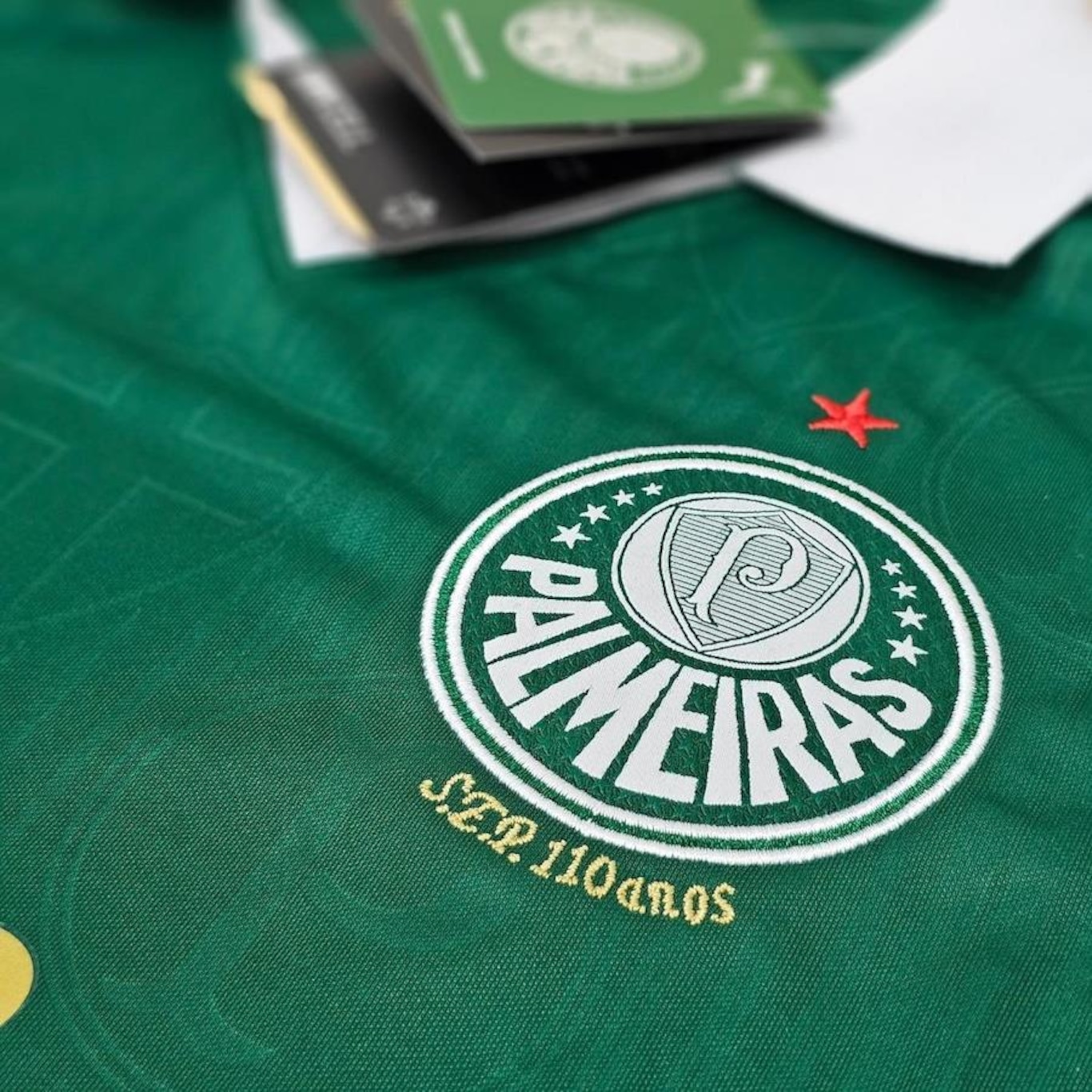 Camisa do Palmeiras 2024/2025 Uniforme 1 Versão Torcedora Puma