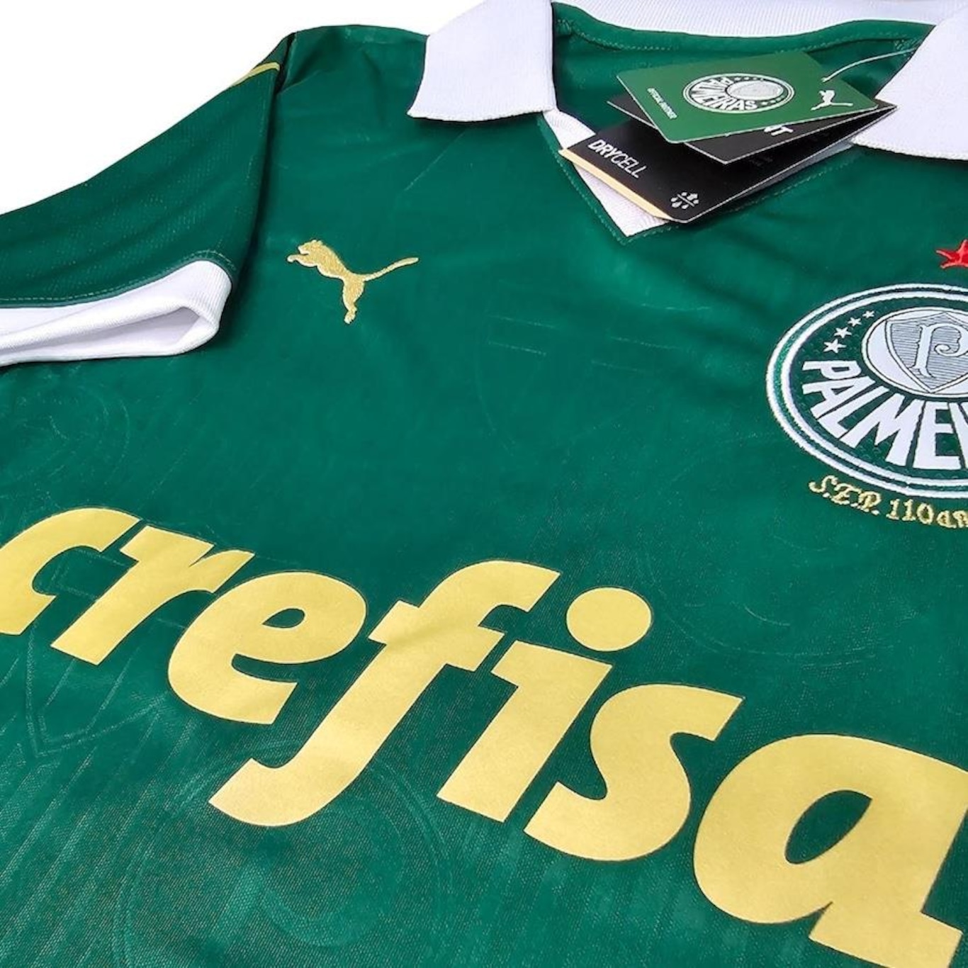 Camisa do Palmeiras 2024/2025 Uniforme 1 Versão Torcedor Puma