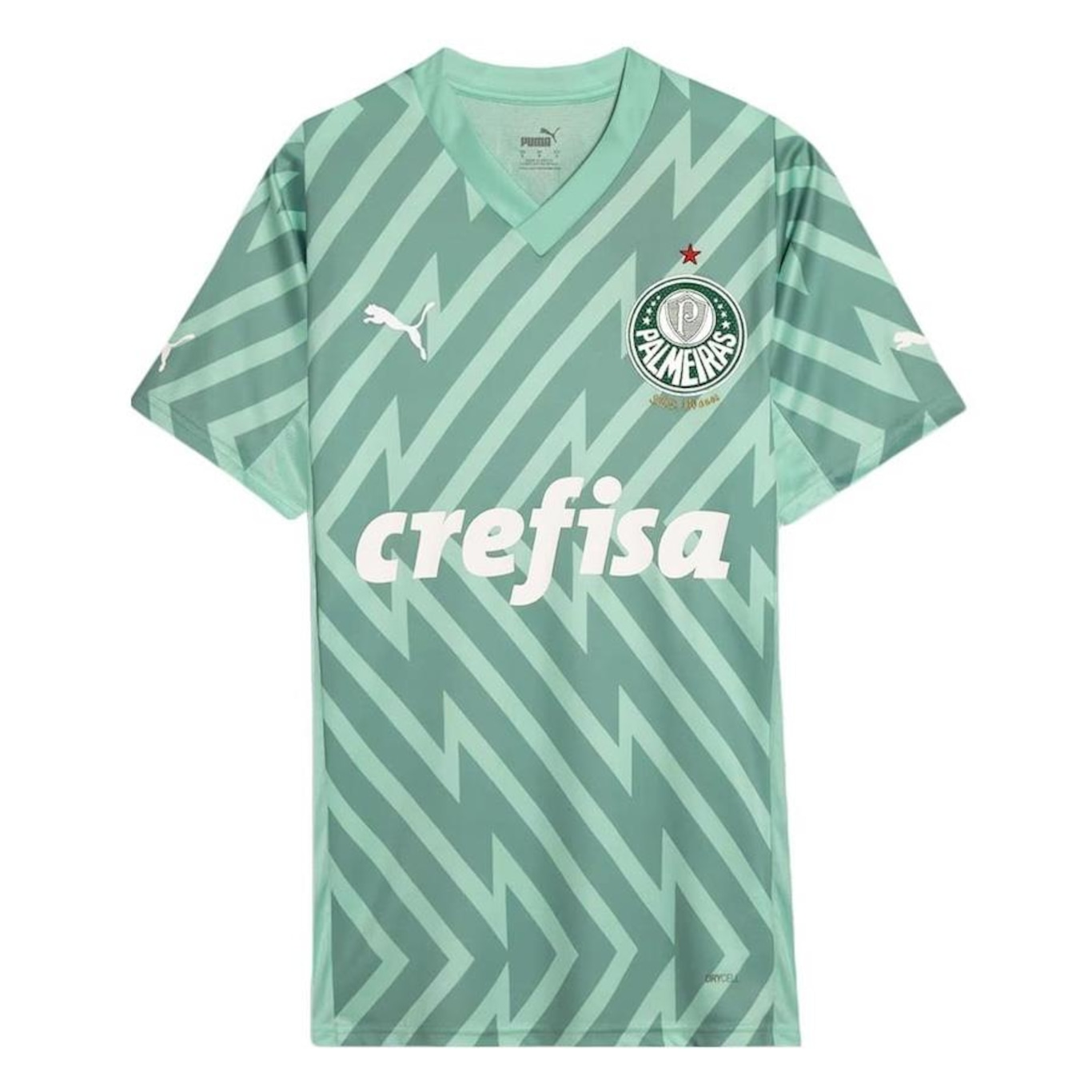 Camisa de Goleiro do Palmeiras Puma II 24/25 Torcedor - Masculina - Foto 1