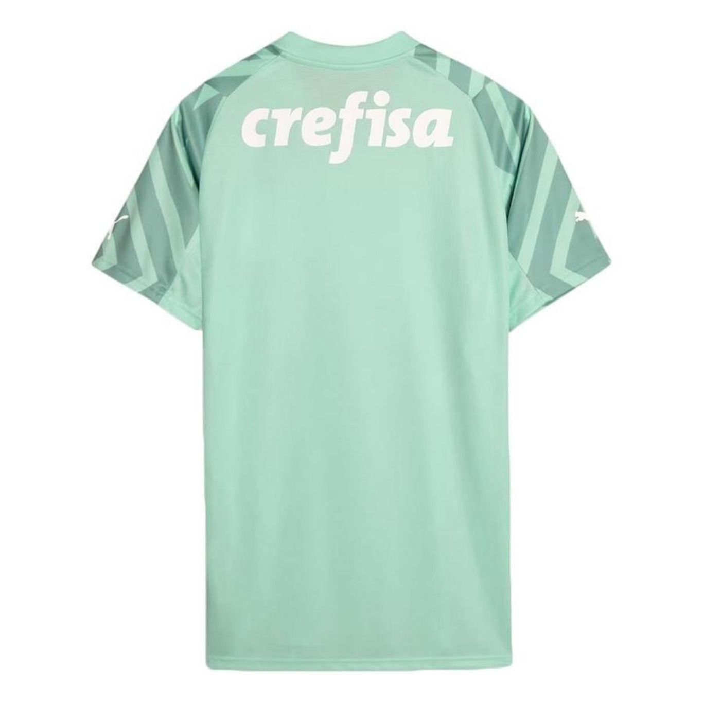 Camisa de Goleiro do Palmeiras Puma II 24/25 Torcedor - Masculina - Foto 2