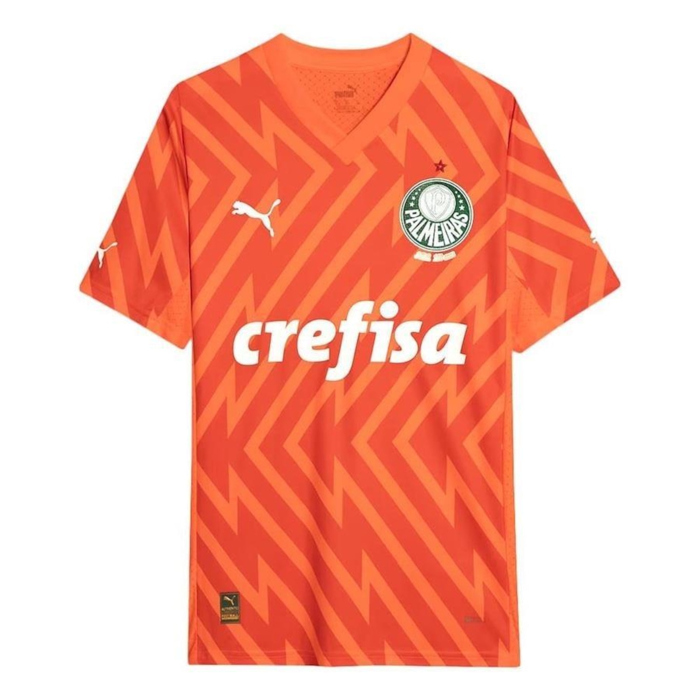 Camisa de Goleiro do Palmeiras Puma III 24/25 Torcedor - Masculina - Foto 1