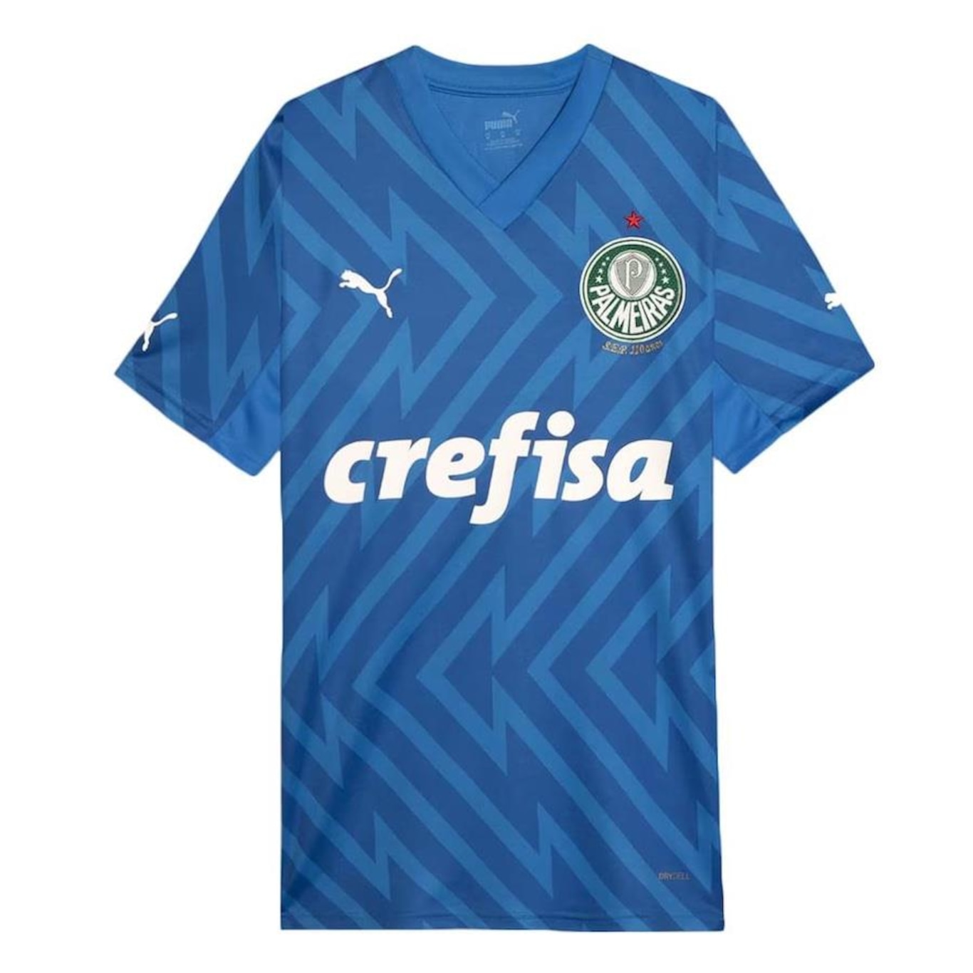 Camisa de Goleiro do Palmeiras Puma I 24/25 Torcedor - Masculina - Foto 1