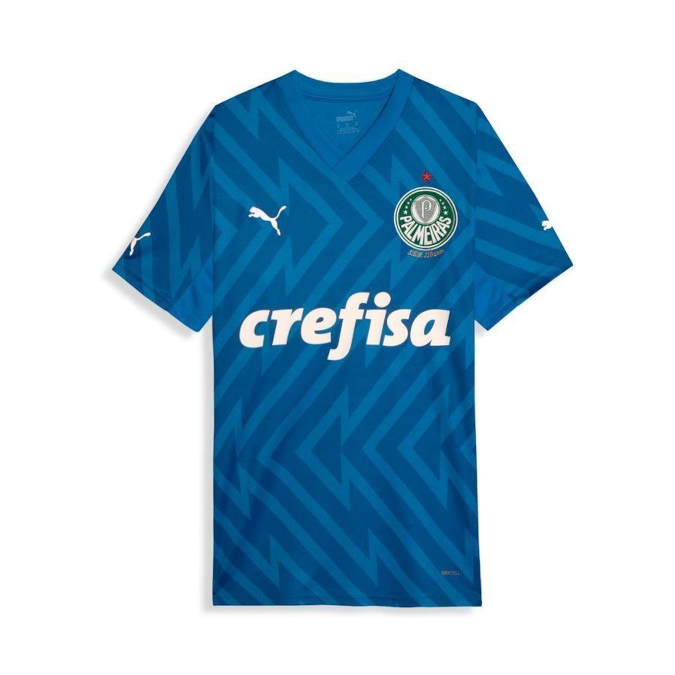 Camisa do Palmeiras 2024 Puma Goleiro Torcedor Home - Masculina - Foto 1