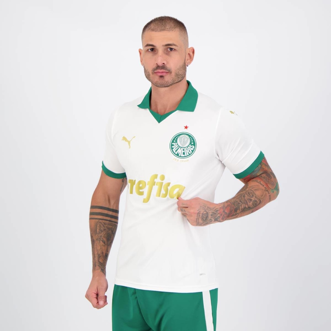 Camisa 2 do Palmeiras 2024 5 Aníbal Puma - Masculina - Foto 5