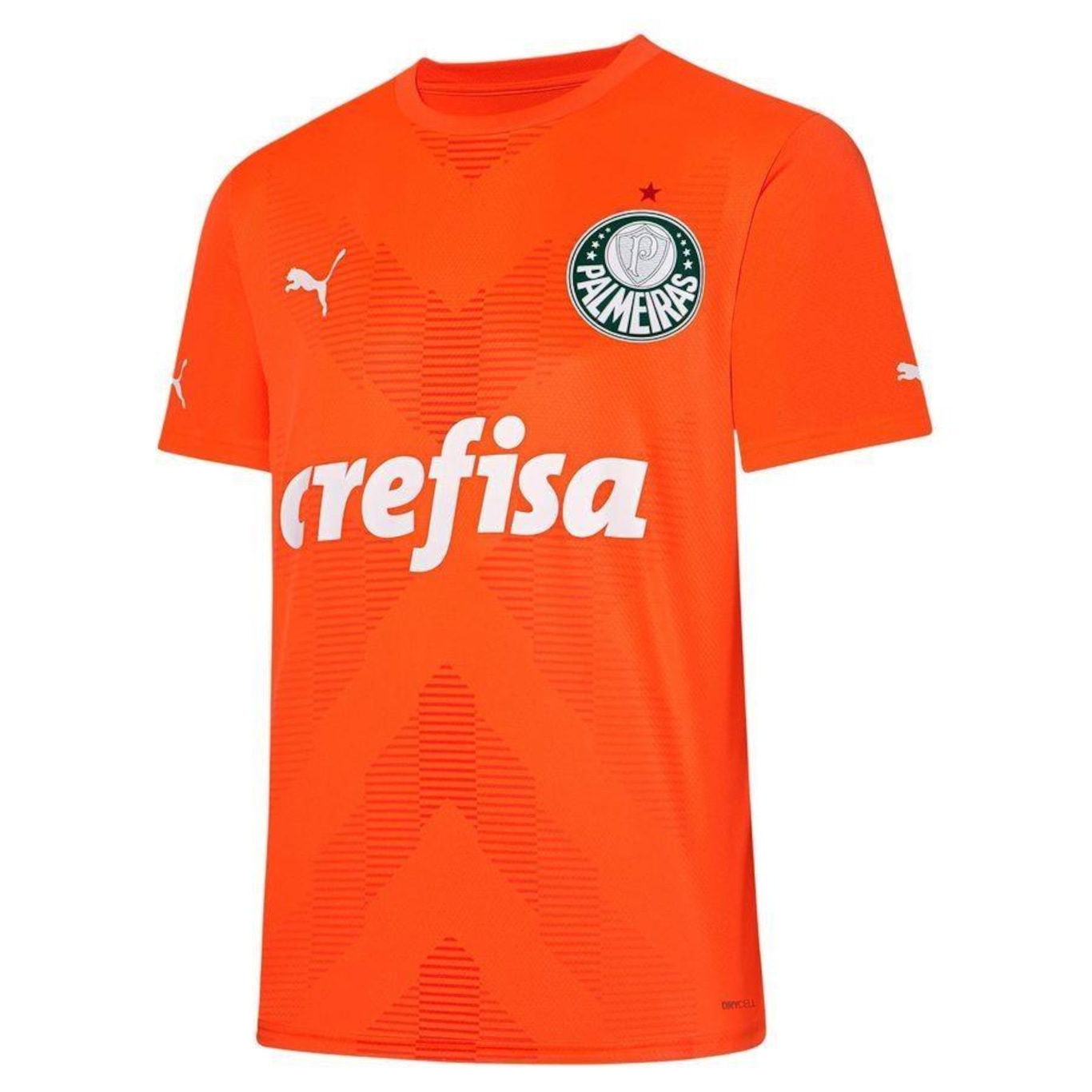 Camisa 3 Palmeiras 23 Goleiro Third Jersey Puma - Masculina - Foto 1