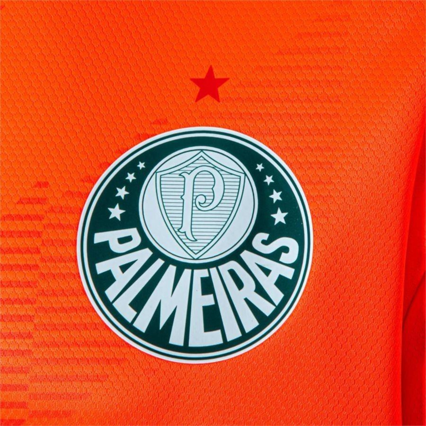 Camisa 3 Palmeiras 23 Goleiro Third Jersey Puma - Masculina - Foto 3