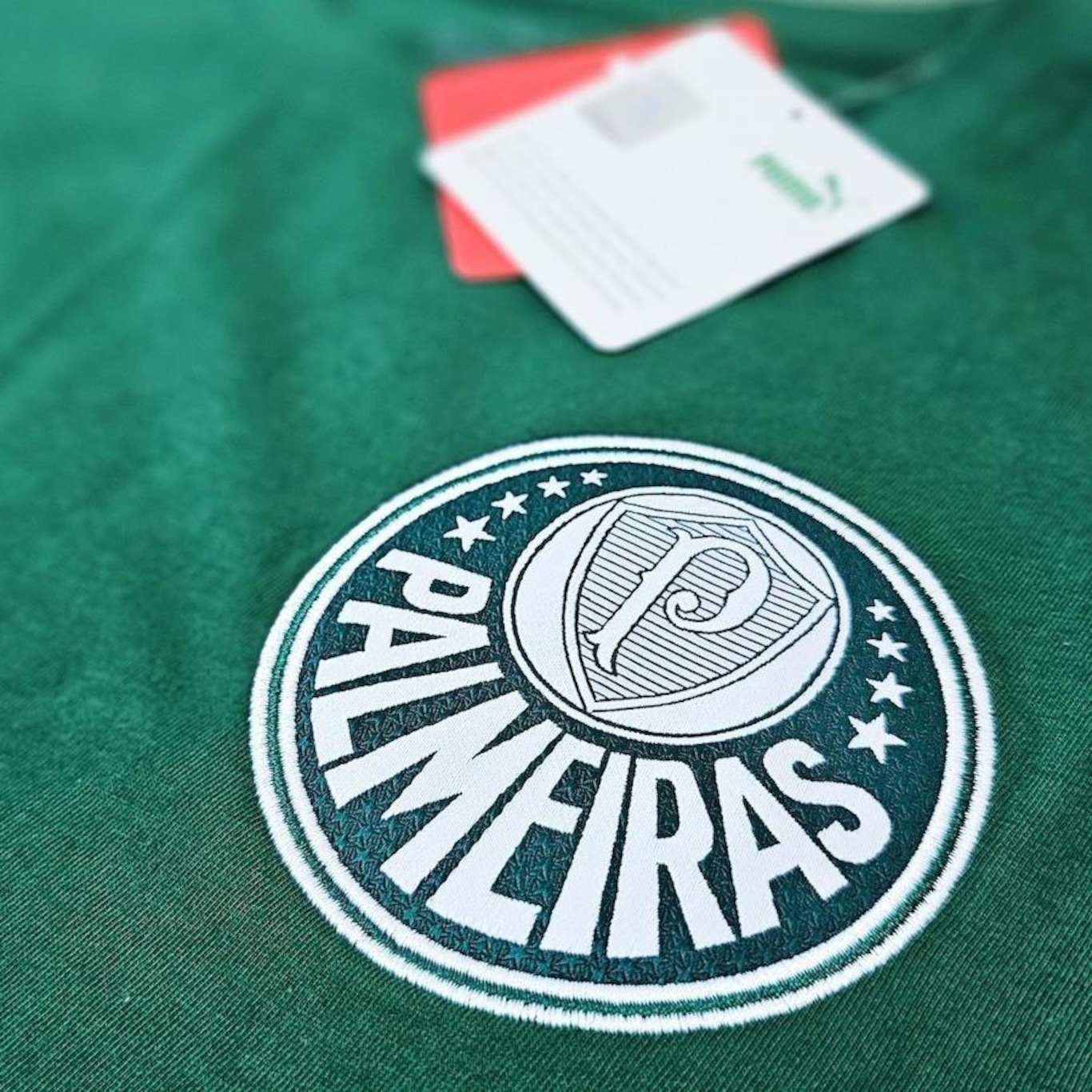 Camisa Palmeiras Puma Ftbl Archive Verde - Masculina - Foto 5