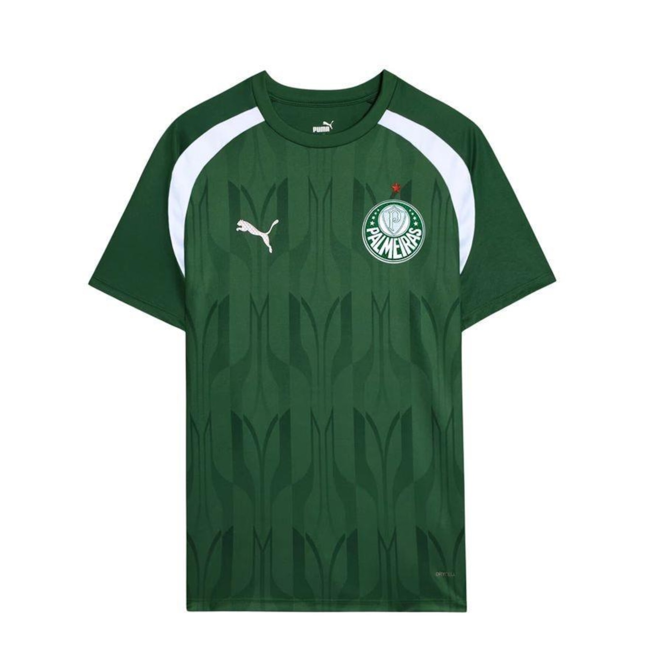 Camisa do Palmeiras 2024 Pré-Jogo Puma - Masculina - Foto 1