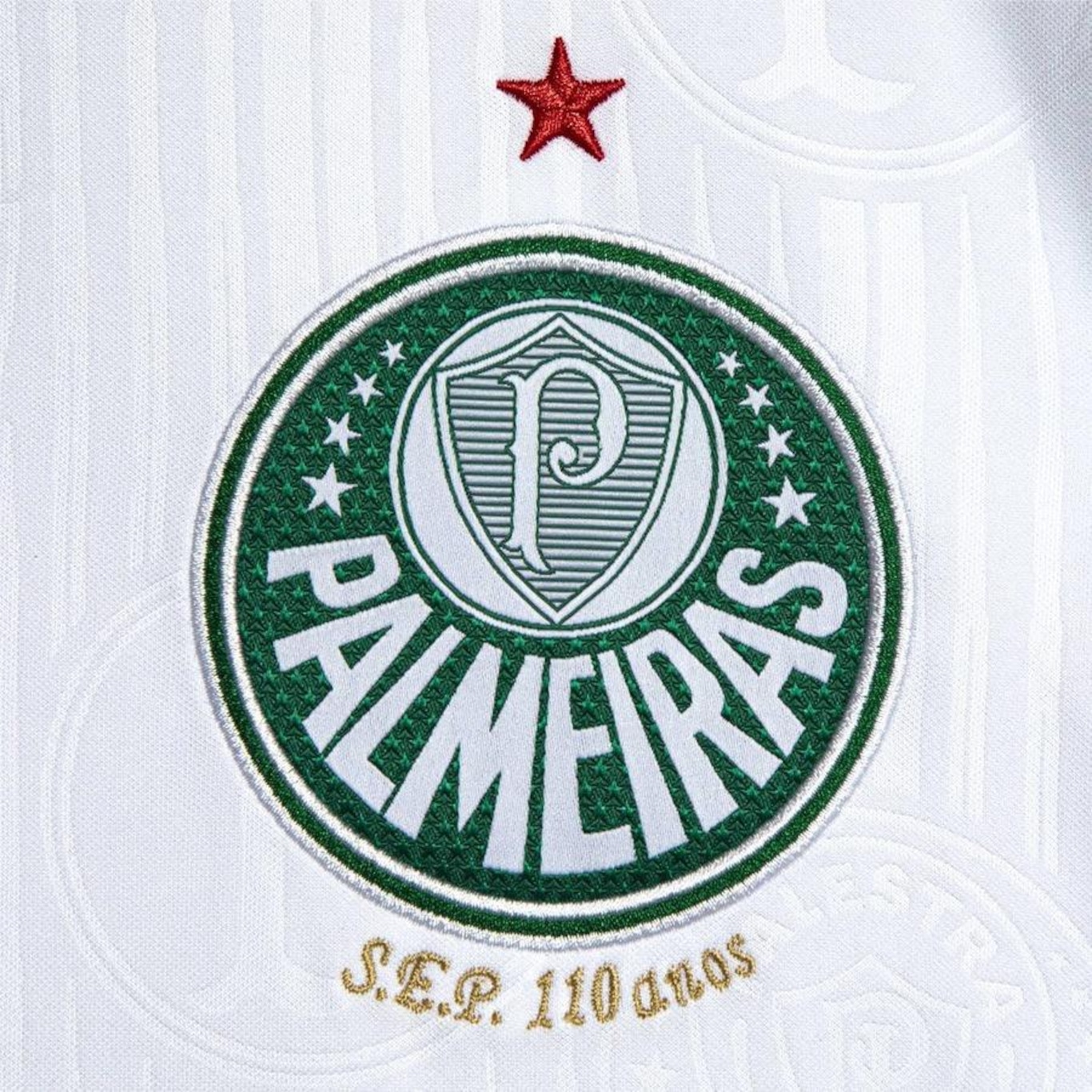 Camisa Puma Palmeiras I 2024 Patch Campeão Brasileiro