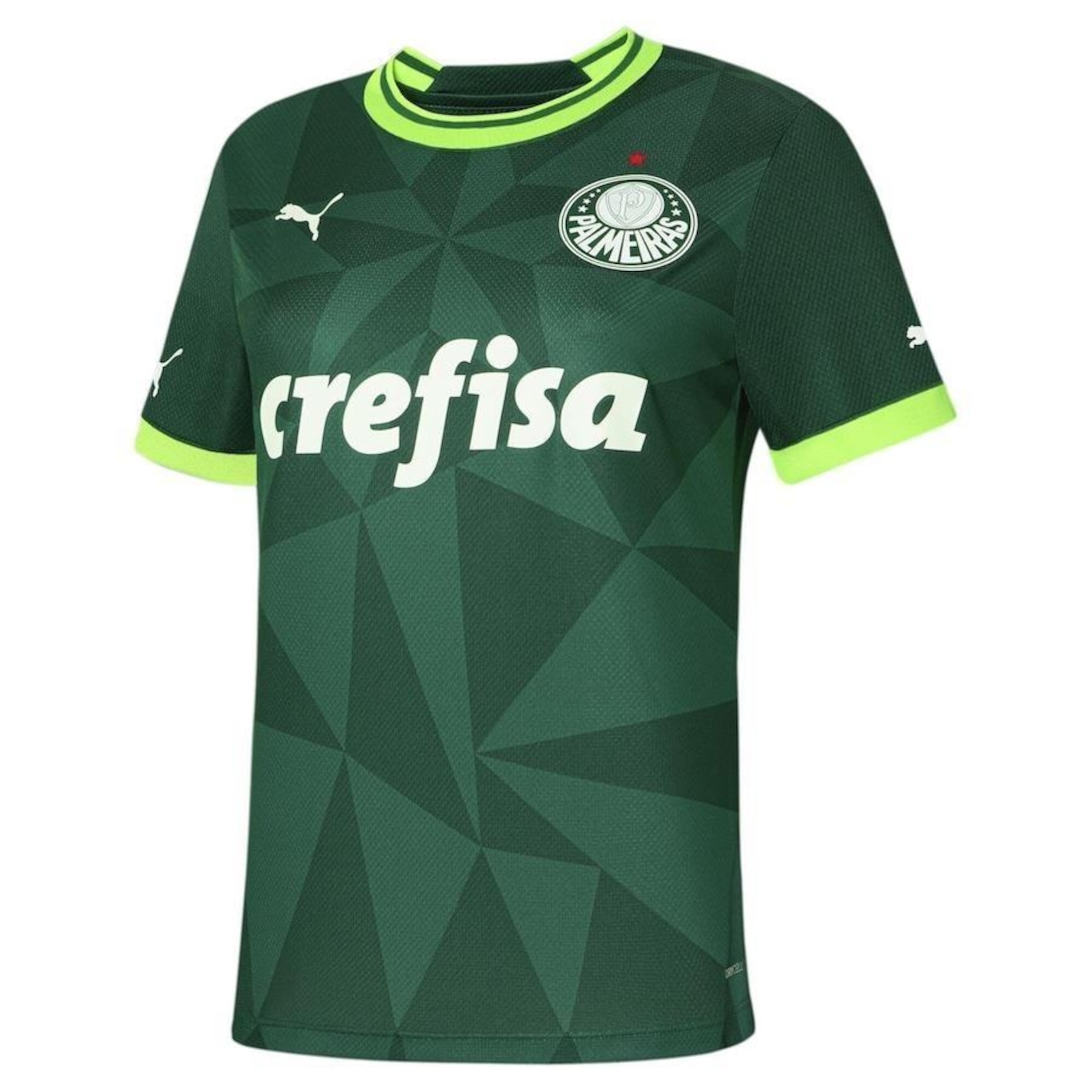 Camisa do Palmeiras Torcedor Home - Feminina - Foto 1