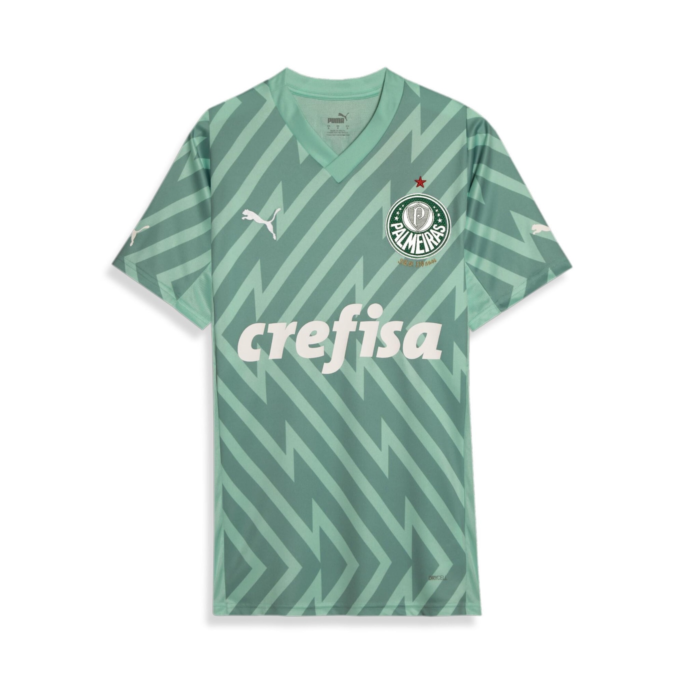 Camisa de Goleiro 2 do Palmeiras Away Torcedor 24/25 Puma - Masculina - Foto 1